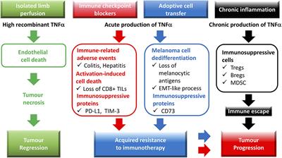 The TNF Paradox in Cancer Progression and Immunotherapy